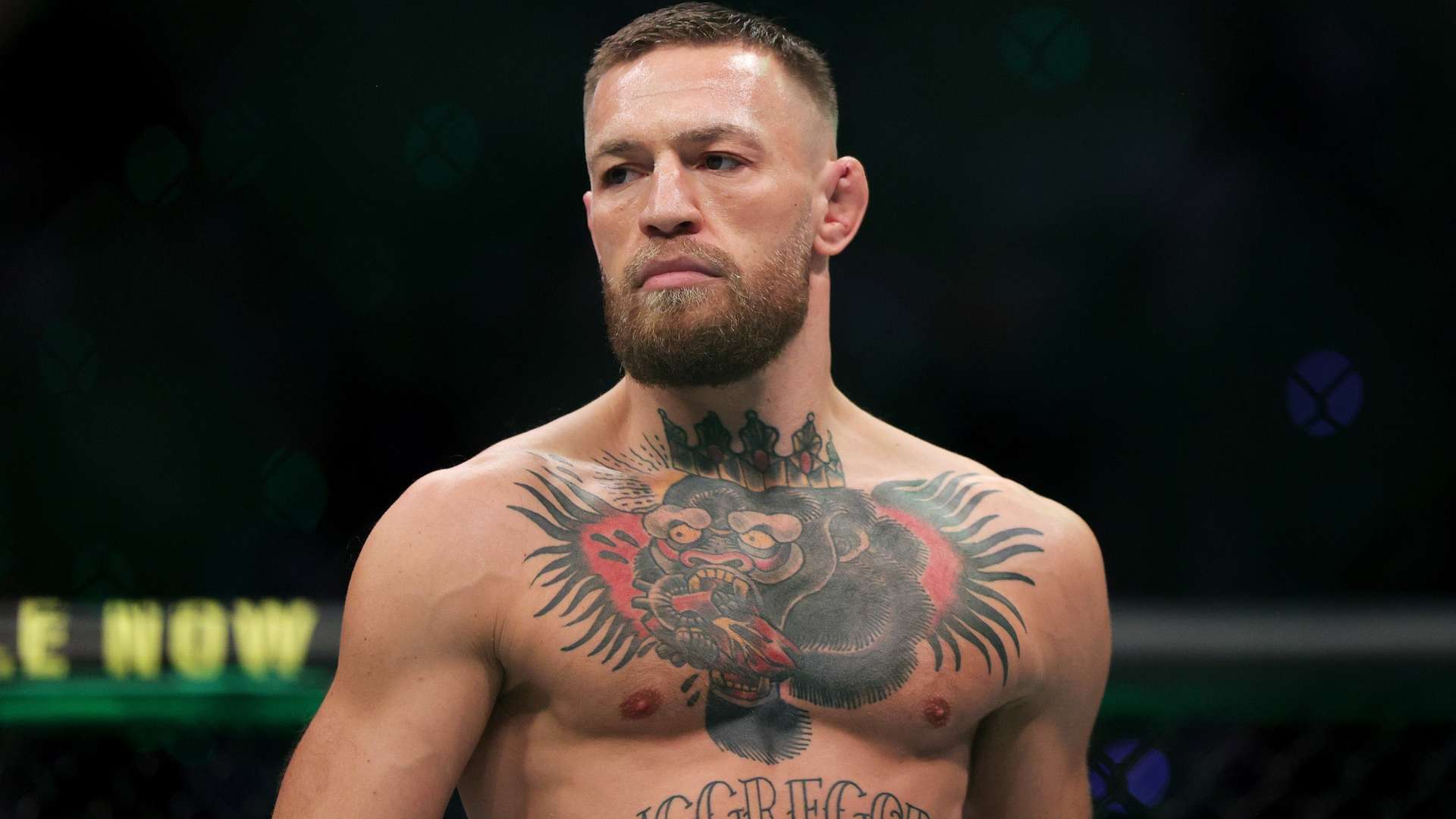 的领导下 的领导下